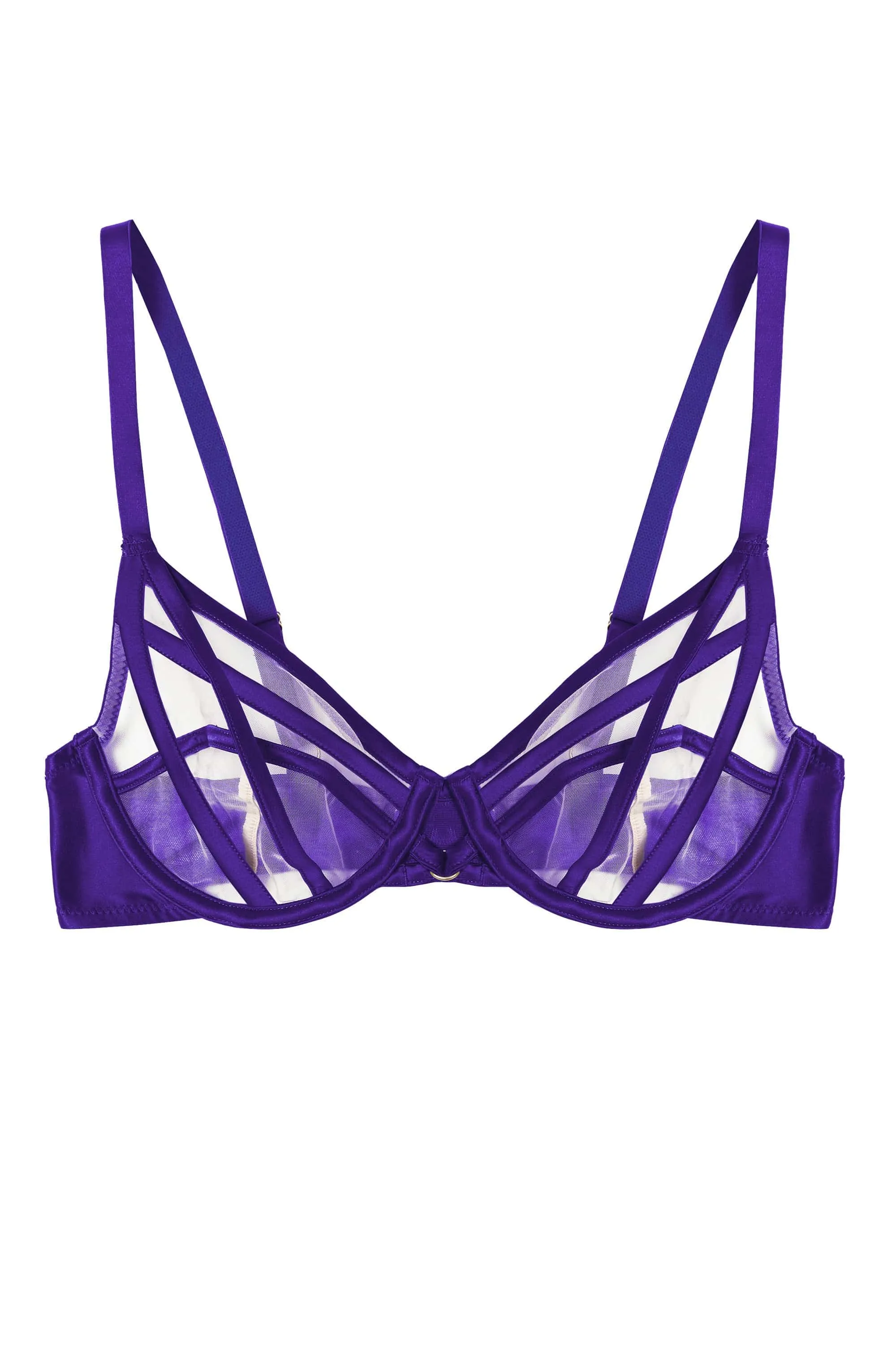 Ramona Purple Strap Detail Illusion Mesh Plunge Bra